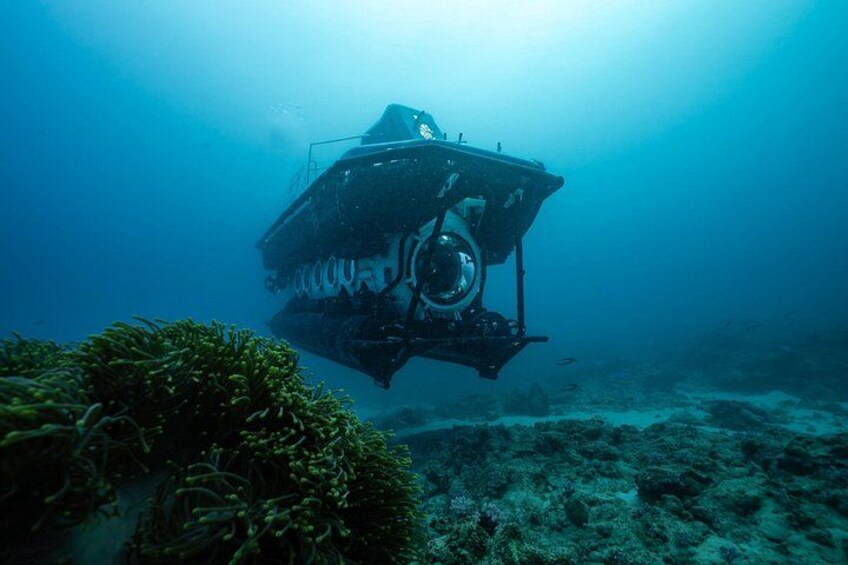 Mauritius Unique Submarine Tour 1
