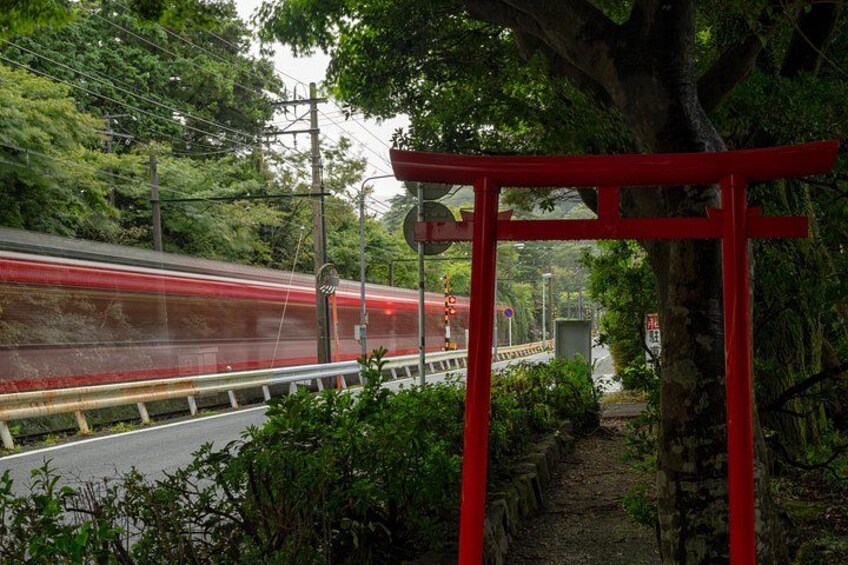 Mt. Fuji, Hakone Private Tour from Tokyo - Onsen, Arts and Nature 4