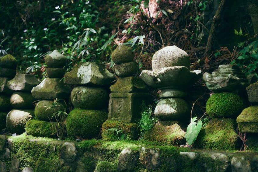 Mt. Fuji, Hakone Private Tour from Tokyo - Onsen, Arts and Nature 3