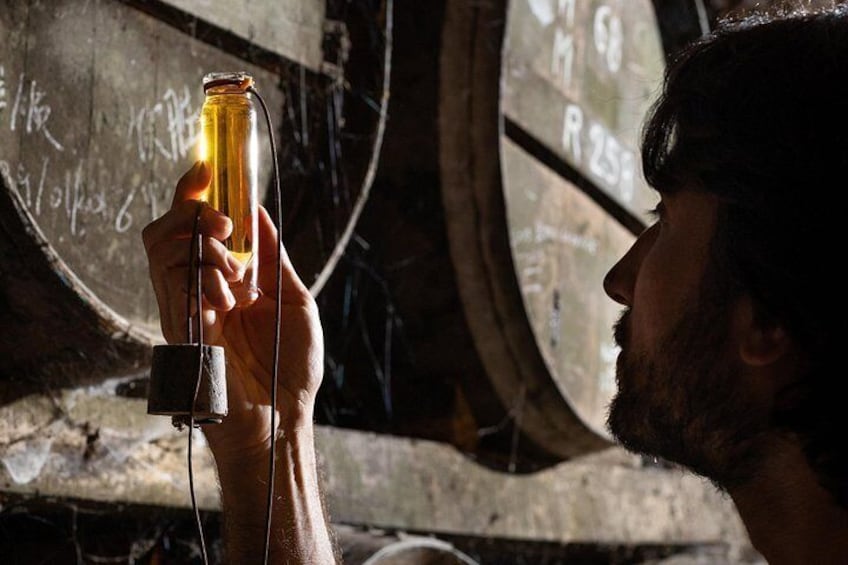 Tasting Bourgoin Cognac the real winegrower's cognac 3