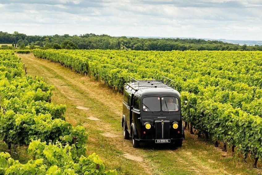 Tasting Bourgoin Cognac the real winegrower's cognac 2