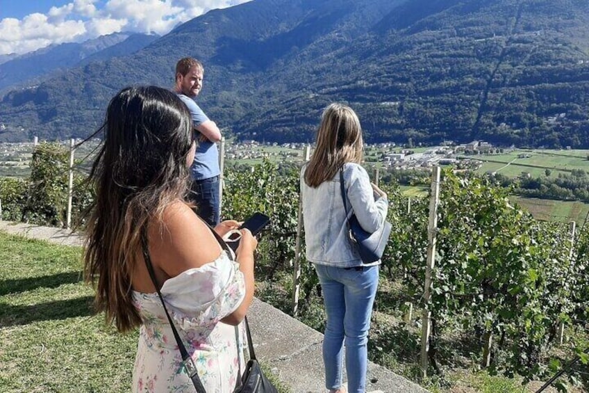 Private Wine Tour: Terraced Vineyards with Alpine view from Milan 4