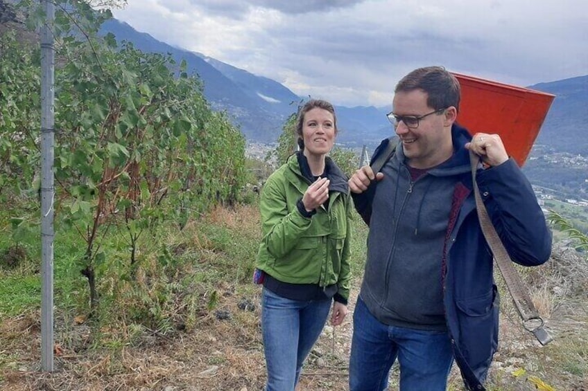 Private Wine Tour: Terraced Vineyards with Alpine view from Milan 1