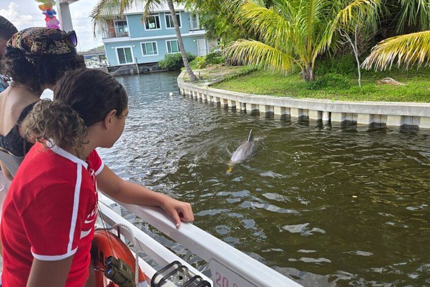 2 hour Dolphin Sightseeing Tour in Melbourne Florida 2