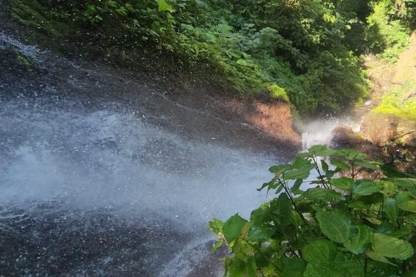 A waterfall in a forested area with dense greenery. 4