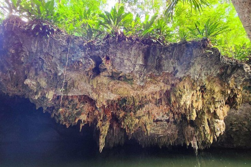 A cave entrance with stalactites and stalagmites, surrounded by lush greenery. 2