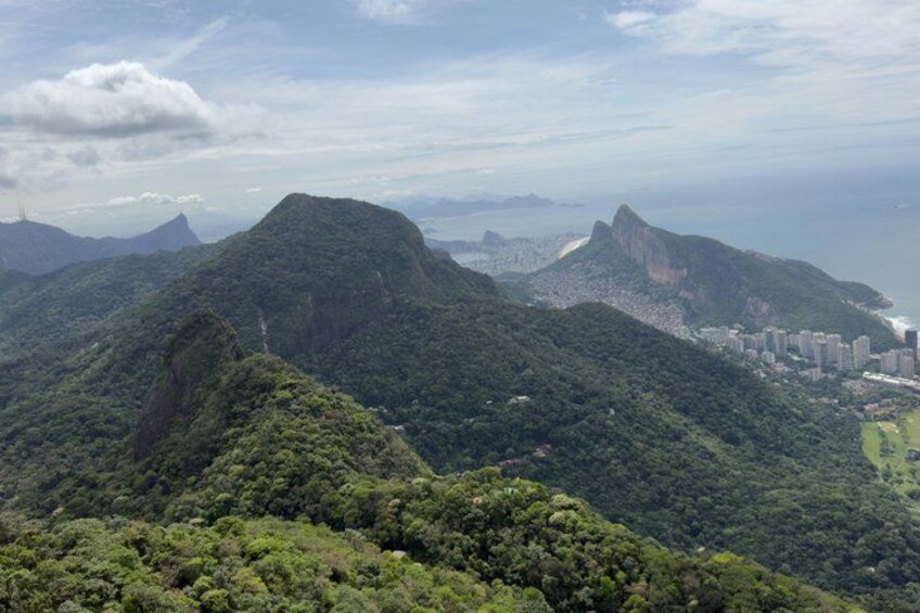 Tijuca Forest: City Views, Waterfall, and Wildlife 2