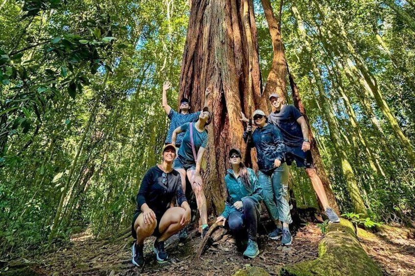 Eine Gruppe von Menschen posiert vor einem großen Baum im Wald. 1