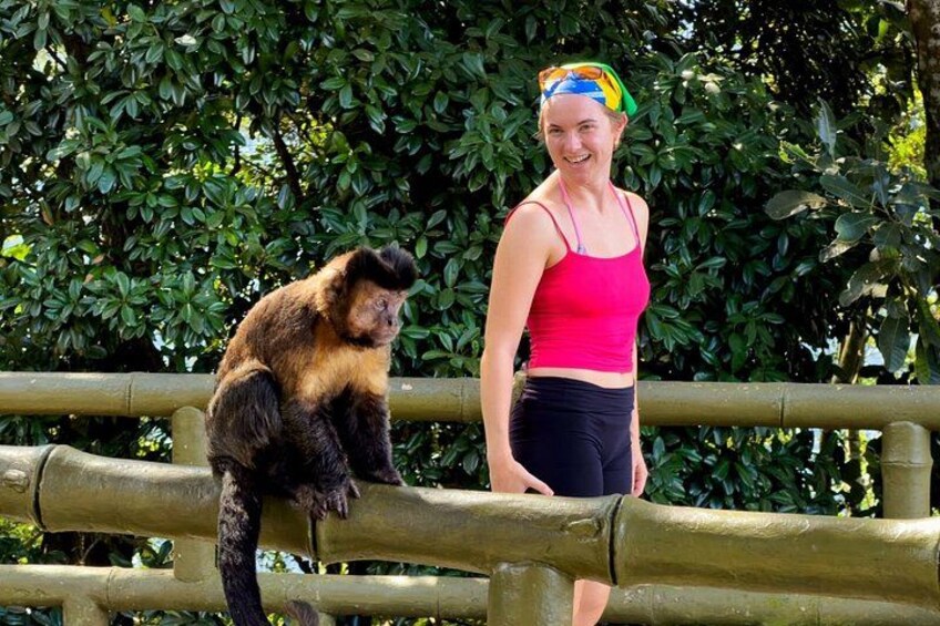 Tijuca Forest: Hiking, waterfalls, viewpoints, and wildlife 2