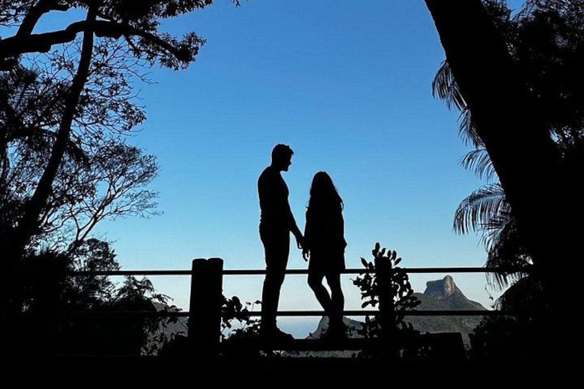 A silhouette of a couple holding hands against a clear sky, with a mountain and trees in the background. 5