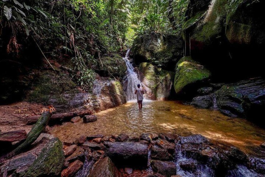 Tijuca Forest: Waterfalls, Cave, and Wildlife 5