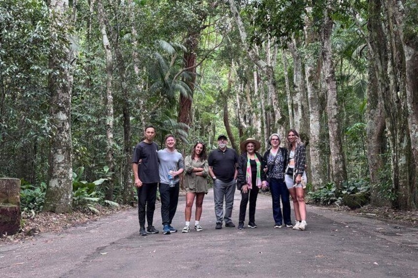 Un groupe de personnes se tient sur un chemin pavé, dans une zone boisée où poussent de grands arbres. 1