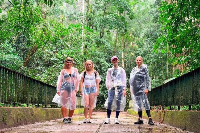 Tijuca Forest: Waterfalls, Caves, Wildlife & Scenic Views 3