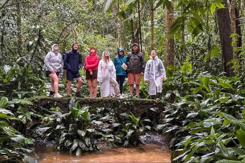 Tijuca Forest: Waterfalls, Caves, Wildlife & Scenic Views 1