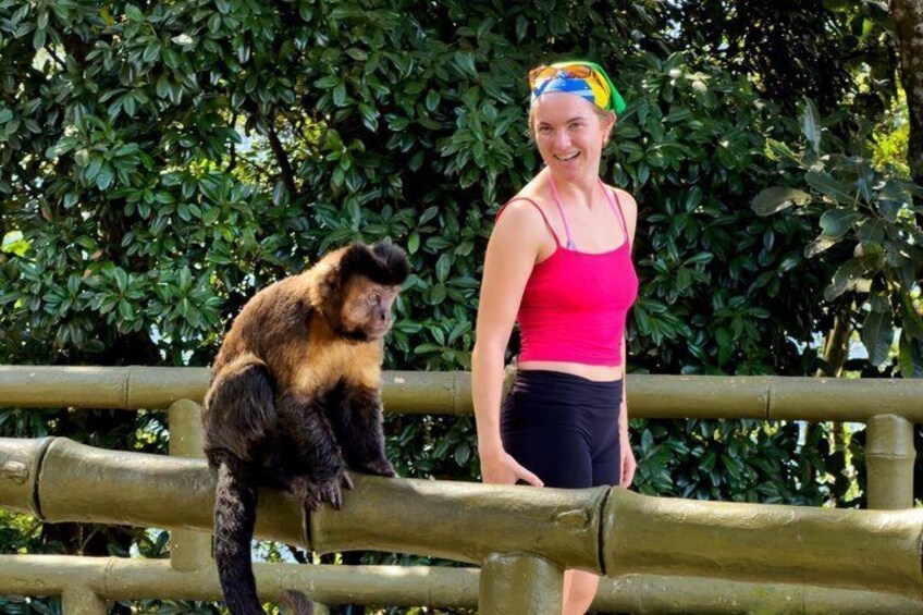 Tijuca Forest: Waterfalls, Cave, and Wildlife 1