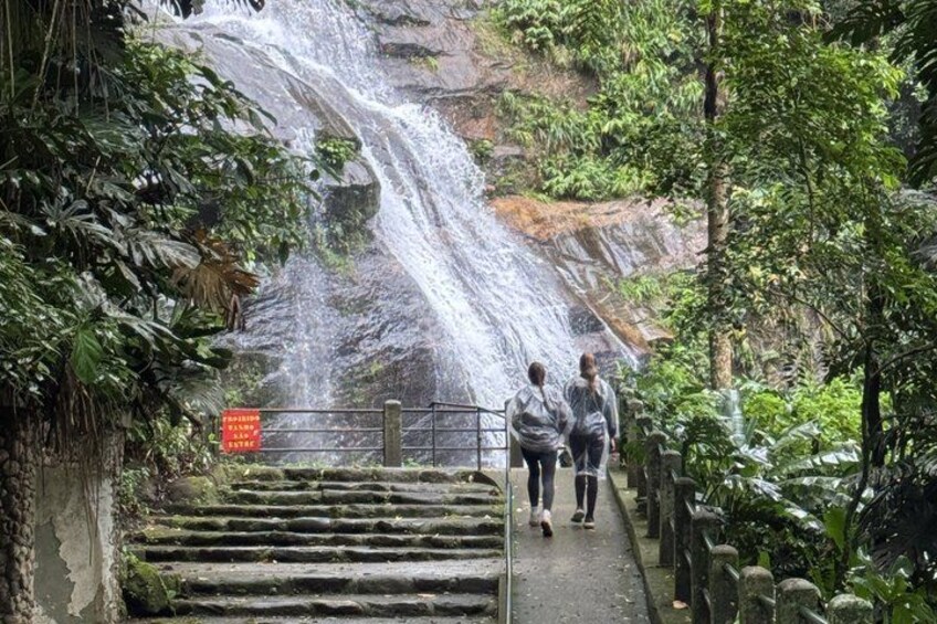 Tijuca Forest: Hiking, waterfalls, viewpoints, and wildlife 4