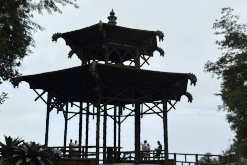 Tijuca Forest: Hiking, waterfalls, viewpoints, and wildlife 3