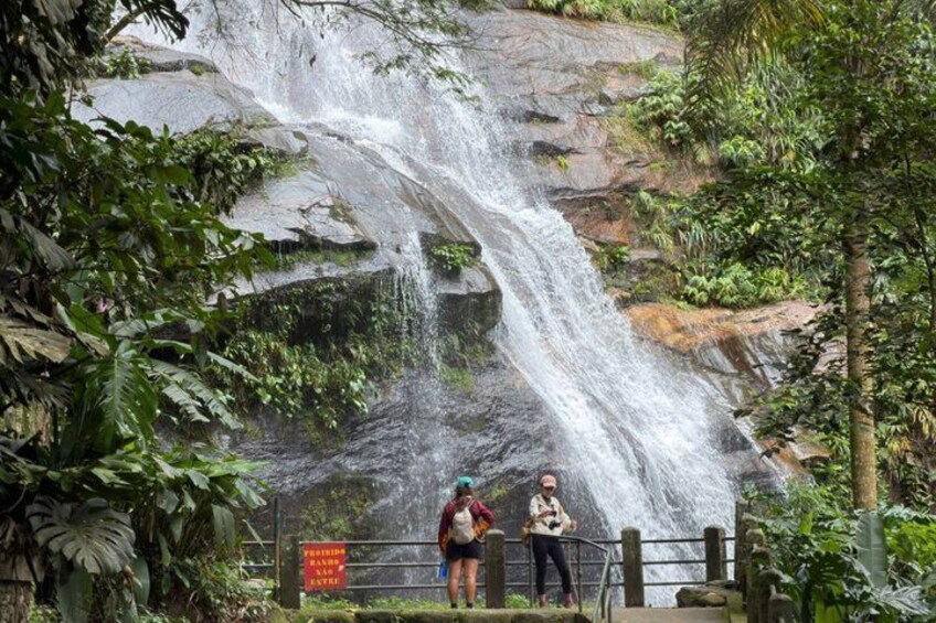Tijuca Forest: City Views, Waterfall, and Wildlife 3