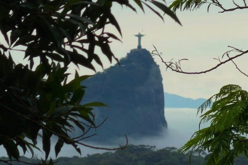 Tijuca Forest: Hiking, waterfalls, viewpoints, and wildlife 5
