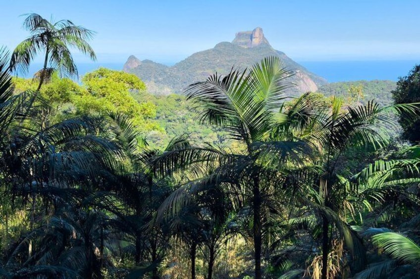 Tijuca Forest: Waterfalls, Cave, and Wildlife 3