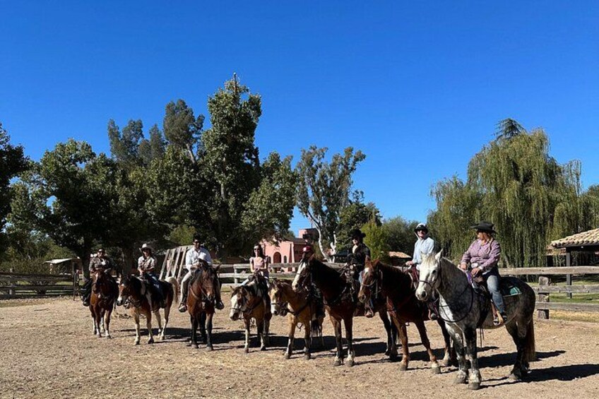 Guided 90 Min Horseback Ride Catalina State Park Coronado Forest 5