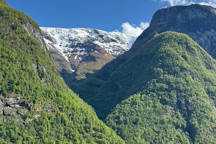 Un paisaje montañoso con bosques verdes y densos y un pico nevado al fondo. 2