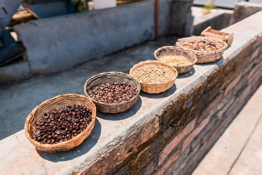 Canastos de granos de café sobre un repisa. 2