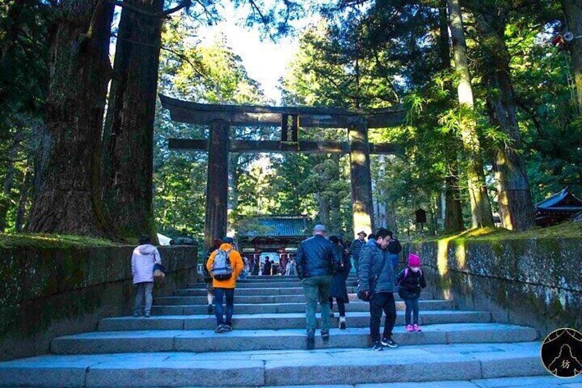 Nikko Private 1-Day Sightseeing Tour with English Speaking Guide 