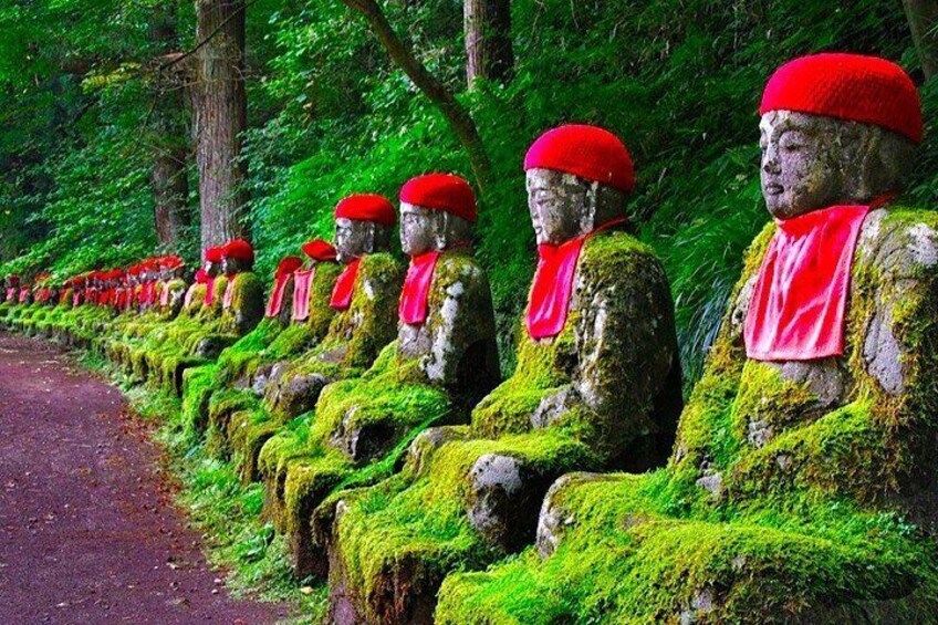 Nikko Private 1-Day Sightseeing Tour with English Speaking Guide 