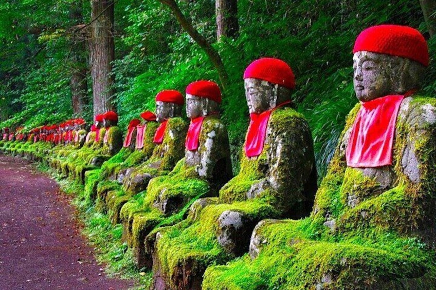 Nikko Private 1-Day Sightseeing Tour with English Speaking Guide 