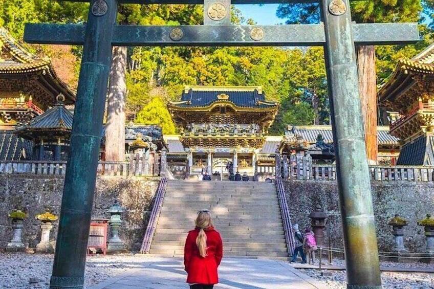 Nikko Private 1-Day Sightseeing Tour with English Speaking Guide 