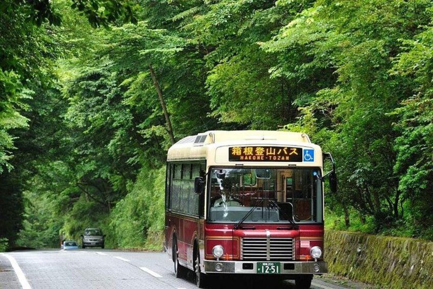 A bus on a road surrounded by dense green foliage. 2