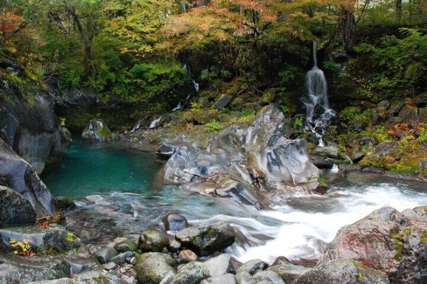 A waterfall, a river, and a forested area. 1