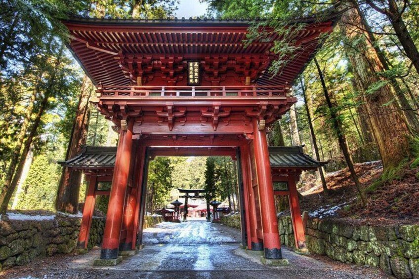 A traditional Japanese torii gate in a forested area. 3