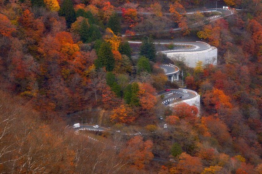 A winding road through a forest with autumn foliage. 2