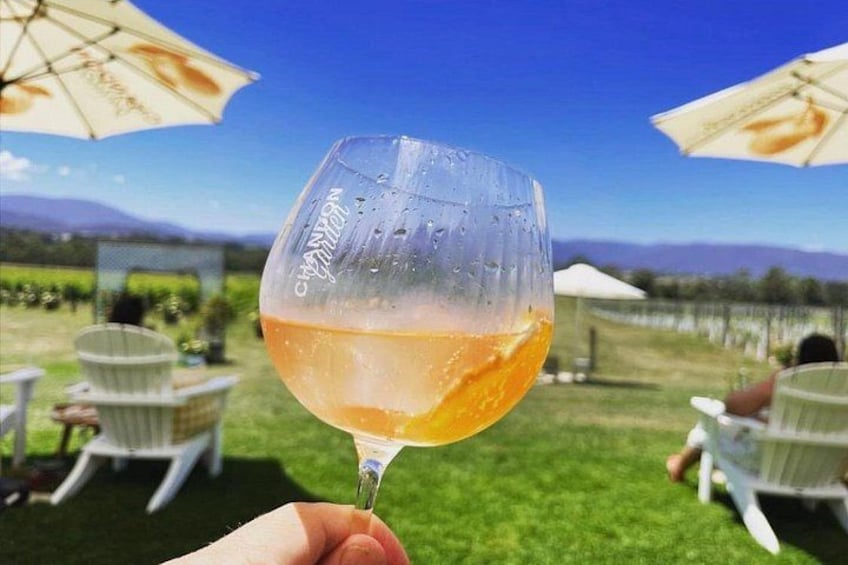 A hand holding a wine glass with a vineyard and chairs in the background. 4