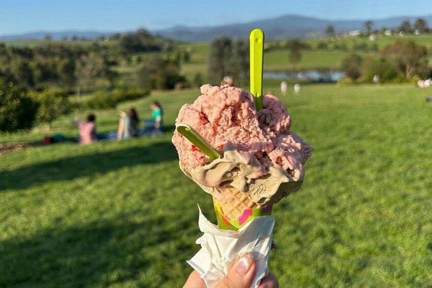 Ice cream at the Yarra Valley Ice Creamery 2