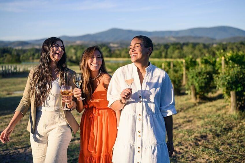 Three people walking in a vineyard with rows of grapevines and mountains in the background. 1