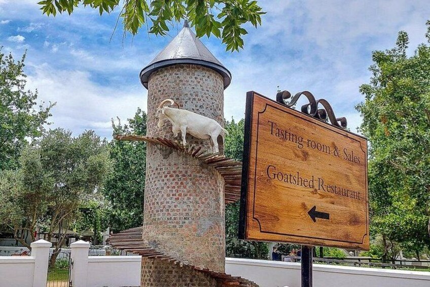 Full-Day Aquila Safari and Wine Tasting from Cape Town 2
