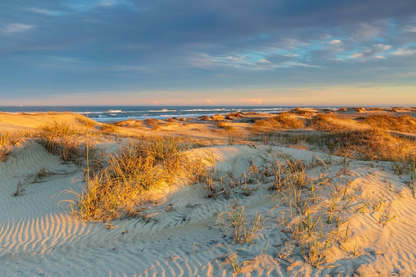 A coastal landscape with sand dunes and sparse vegetation. 5