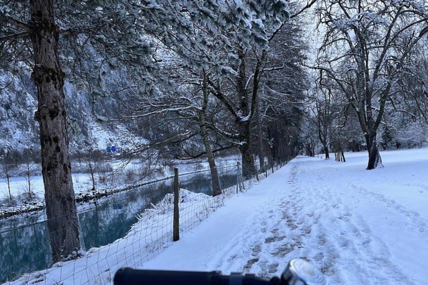 A snow-covered path with trees and a fence. 4