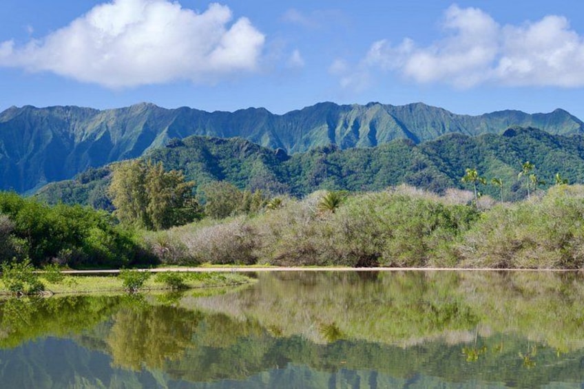 Oahu Private Tour Customizable 3