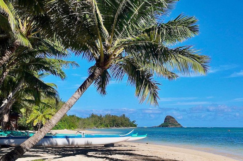 Oahu Private Tour Customizable 4