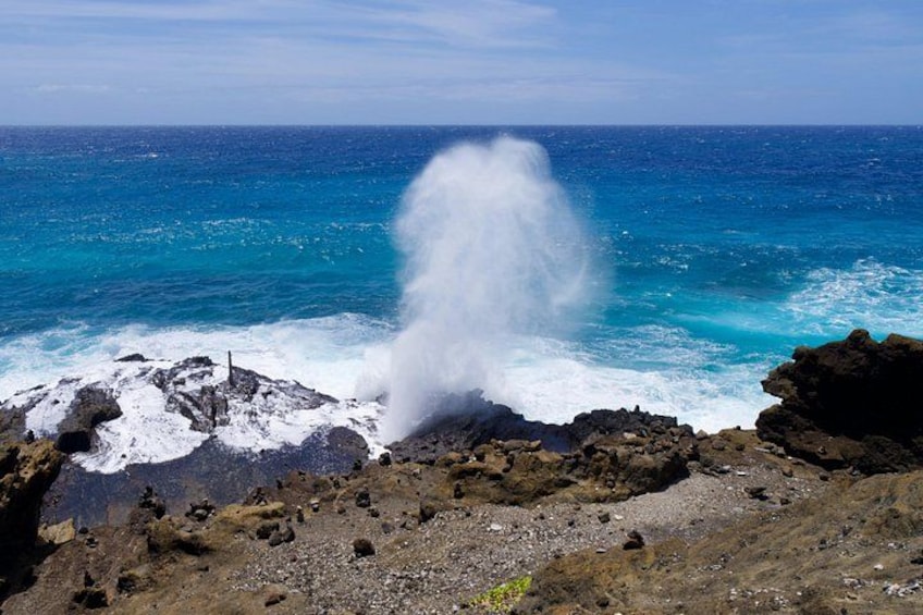 Oahu Private Tour Customizable 2