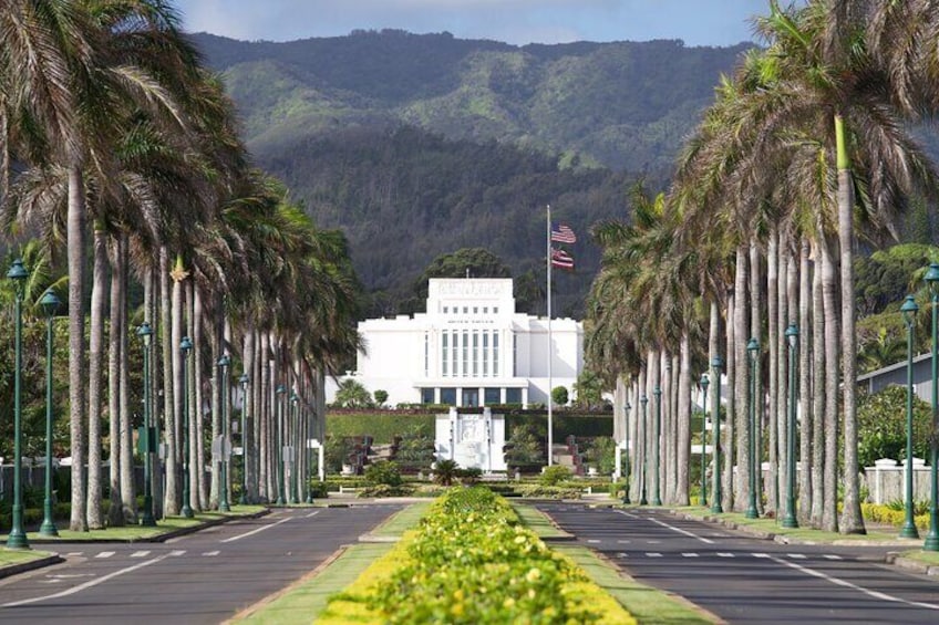A street lined with palm trees leading to a white building with a flag. 5