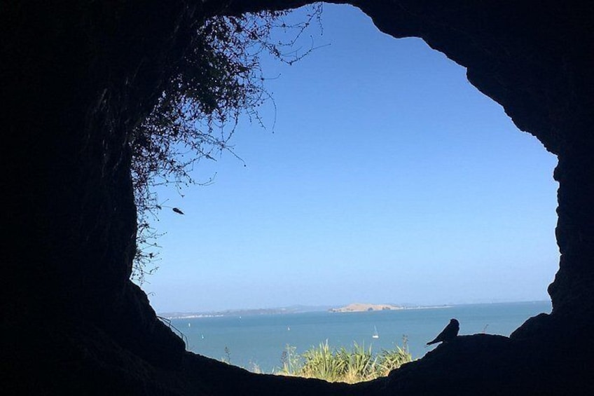 View from the WW2 tunnels at North Head 3