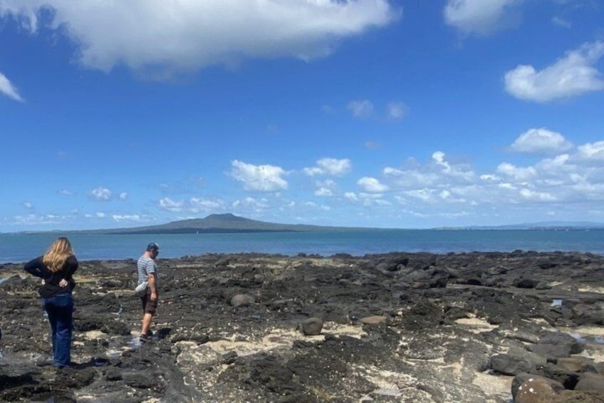 Volcanoes, Coasts, and Secret Spots Afternoon Tour in Auckland 1