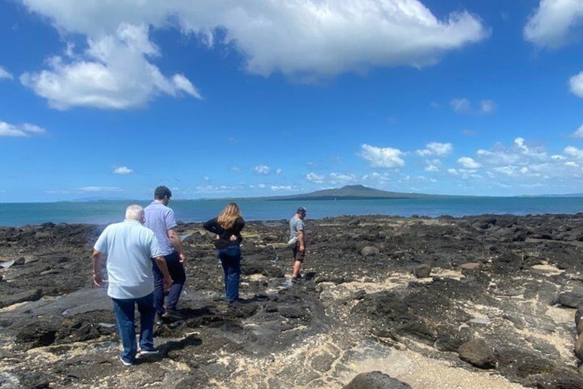 Volcanoes, Coasts, and Secret Spots Afternoon Tour in Auckland 5