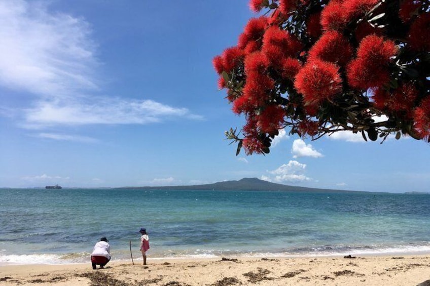 Volcanoes, Coasts, and Secret Spots Afternoon Tour in Auckland 2