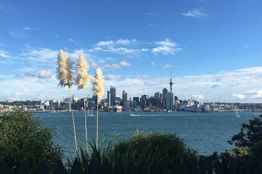 View of the city from Cyril Bassett VC Lookout 2